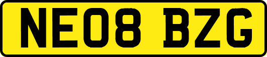 NE08BZG