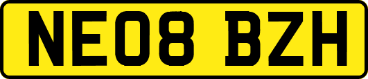 NE08BZH