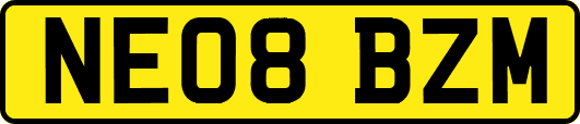 NE08BZM