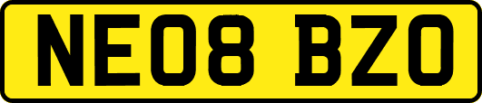 NE08BZO