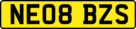 NE08BZS
