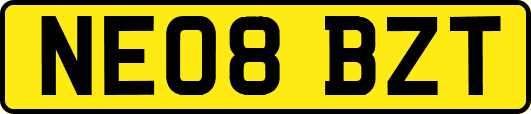 NE08BZT