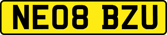 NE08BZU