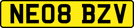 NE08BZV