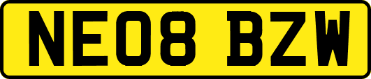NE08BZW