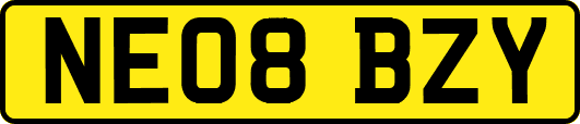 NE08BZY