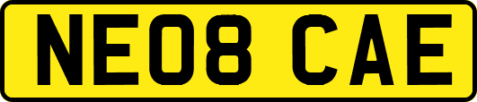 NE08CAE