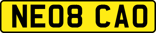 NE08CAO