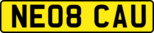 NE08CAU
