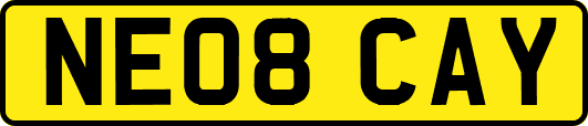 NE08CAY