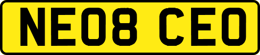 NE08CEO