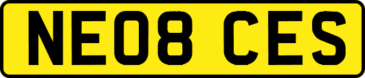 NE08CES