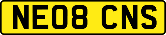 NE08CNS