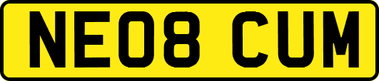 NE08CUM