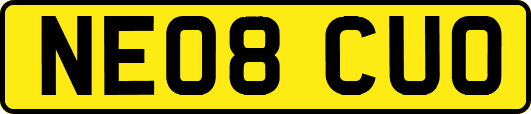 NE08CUO
