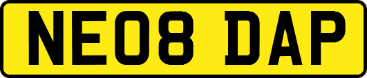 NE08DAP