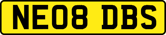 NE08DBS