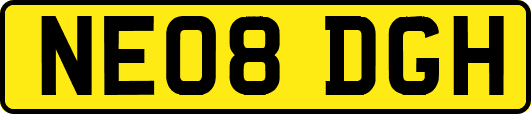 NE08DGH