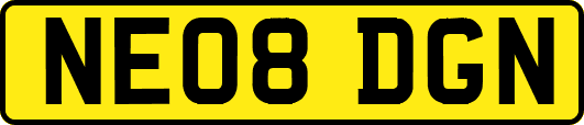 NE08DGN