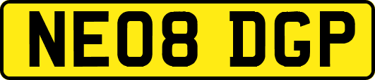 NE08DGP