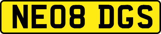 NE08DGS