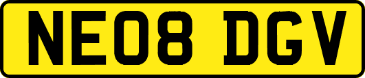 NE08DGV