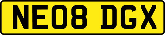 NE08DGX