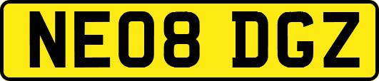 NE08DGZ