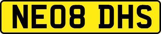NE08DHS