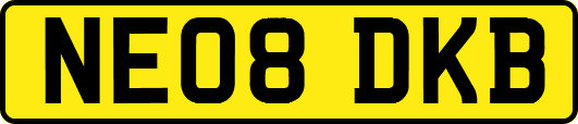 NE08DKB
