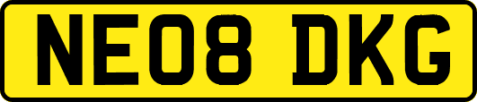 NE08DKG
