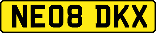 NE08DKX