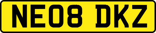 NE08DKZ