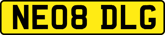 NE08DLG