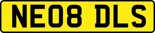 NE08DLS