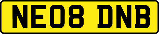 NE08DNB