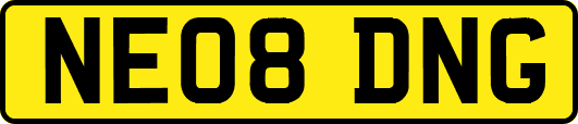 NE08DNG