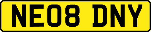 NE08DNY