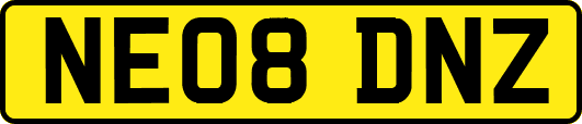 NE08DNZ