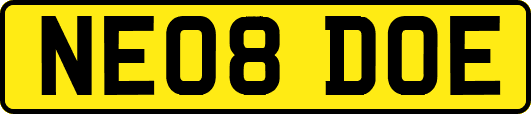 NE08DOE