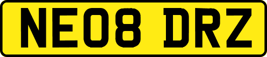 NE08DRZ