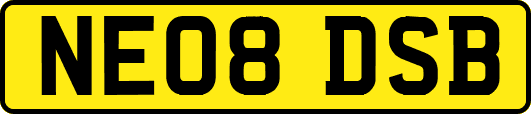 NE08DSB