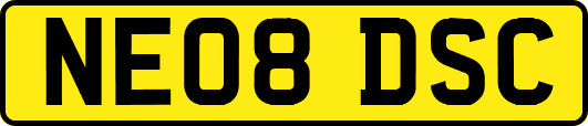 NE08DSC