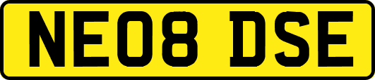 NE08DSE