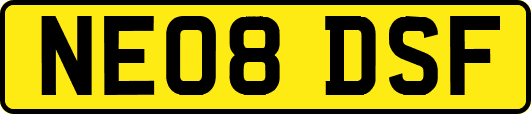 NE08DSF