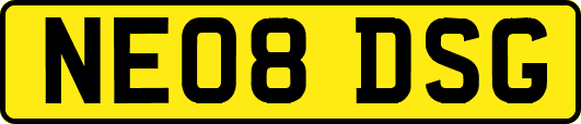 NE08DSG