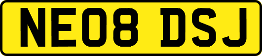 NE08DSJ