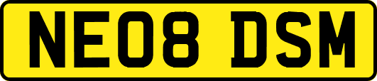 NE08DSM