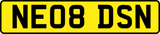 NE08DSN