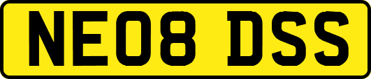 NE08DSS